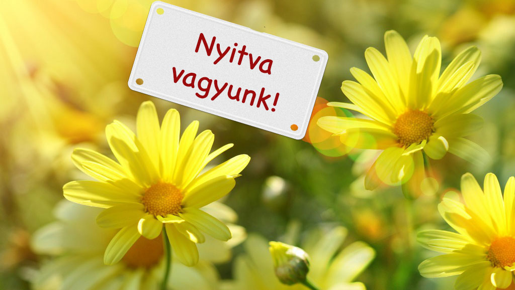 Nyitva vagyunk!