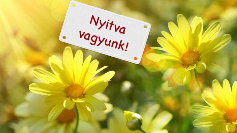 Nyitva vagyunk!